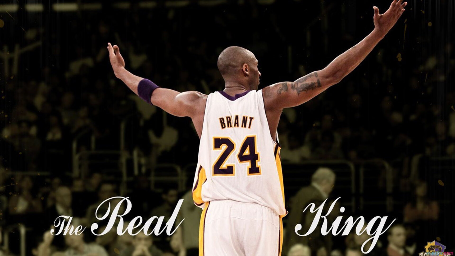 开云官网-猛龙对阵北京队，拉文持续制造杀伤，诠释现代篮球的暴力美学